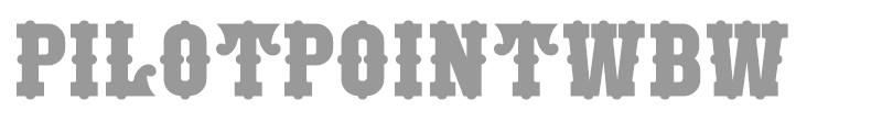 PilotPointWBW
