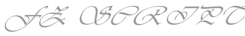 FZ SCRIPT 26 ITALIC