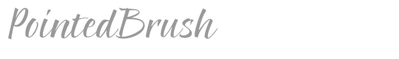 PointedBrush