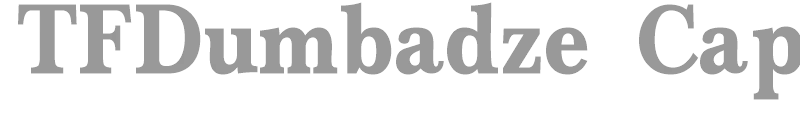 TFDumbadze Capital