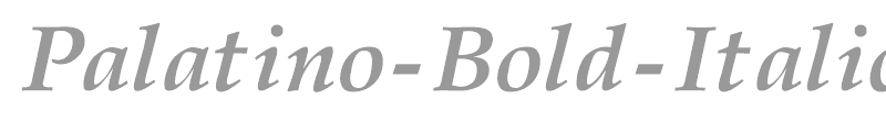 Palatino-Bold-Italic