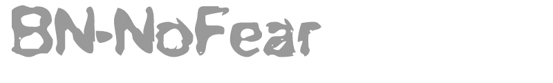 BN No Fear