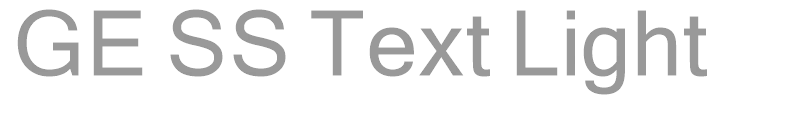 GE SS Text Light