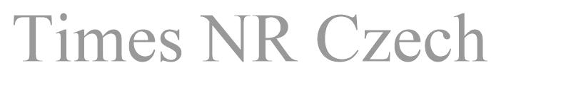 Times NR Czech