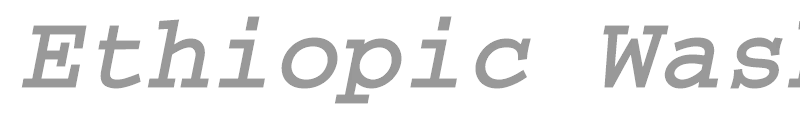 Ethiopic WashRa Bold Slant