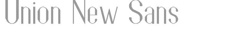 Union New Sans