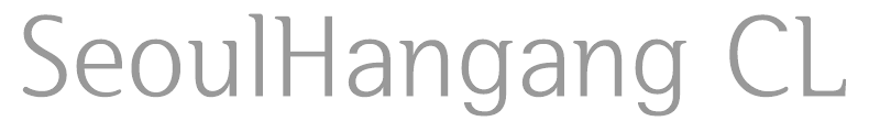SeoulHangang CM