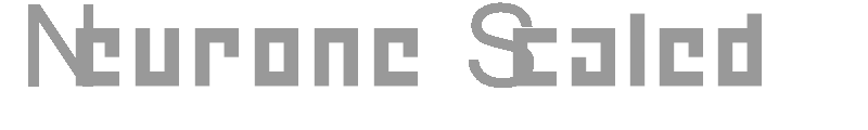 NeuroneScaled