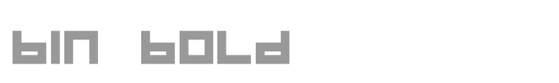 BIN Bold