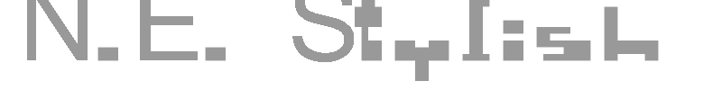 N.E. Stylish Newbix