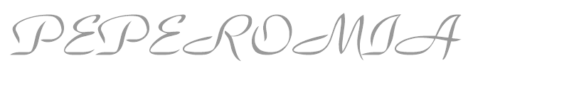 PEPEROMIA
