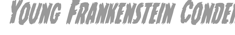 Young Frankenstein Condensed Italic