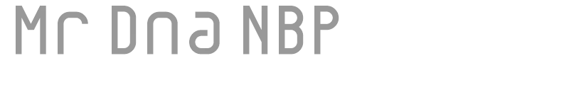 Mr Dna NBP
