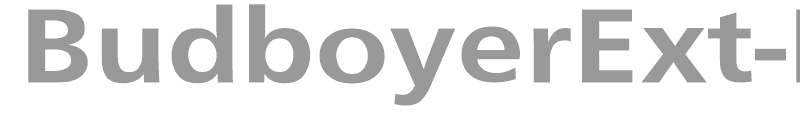 BudboyerExt-Bol