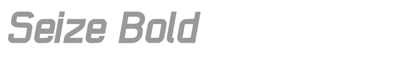 Seize Bold