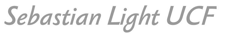 Sebastian Light UCF