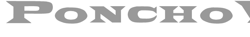 PonchoVia