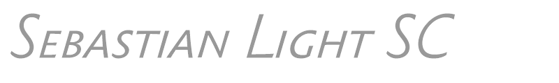 Sebastian Light SC