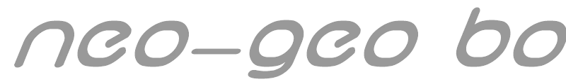 neo-geo bold italic
