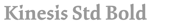 Kinesis Std