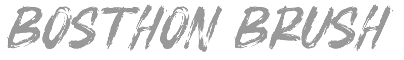 Bosthon Brush