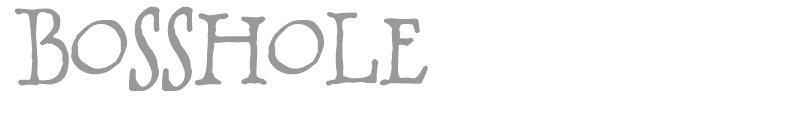 BOSSHOLE