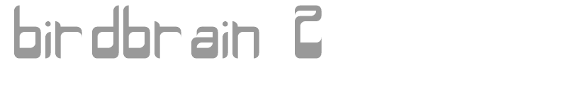 birdbrain 2