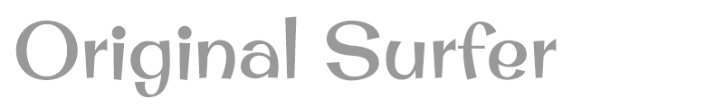 Original Surfer