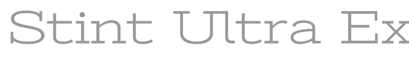 Stint Ultra Expanded