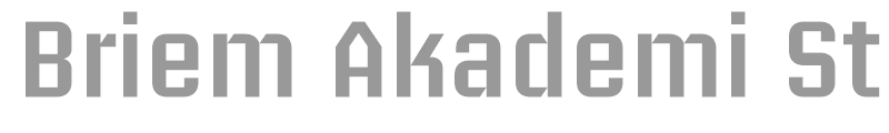 Briem Akademi Std