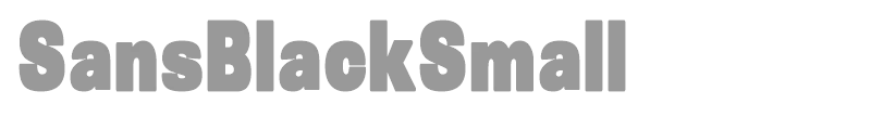 Sans Black Small