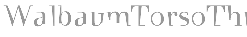 Walbaum Torso 3
