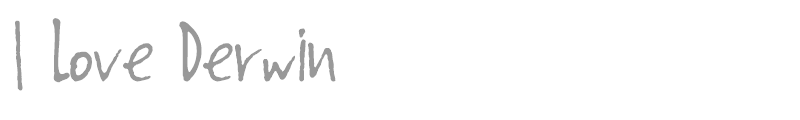 I Love Derwin