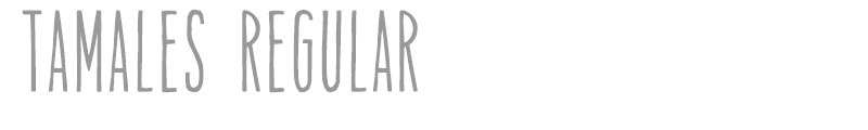 Tamales Regular
