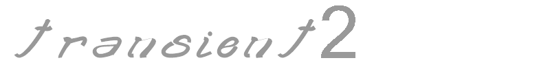 transient2