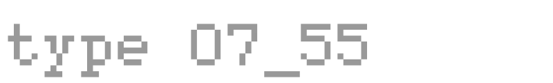 type 07_55