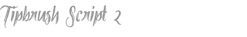 Tipbrush Script 2