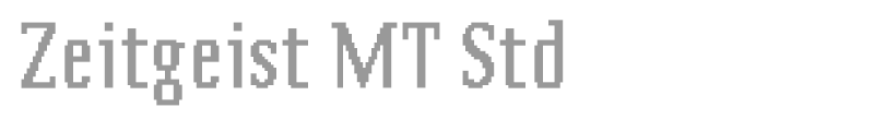 Zeitgeist MT