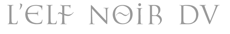 L’Elf Noir du Mal