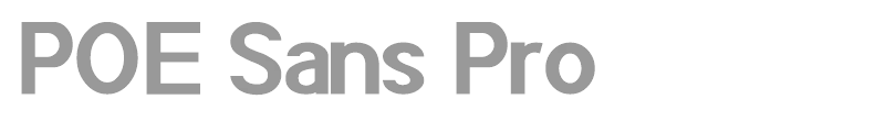 POE Sans 1.30