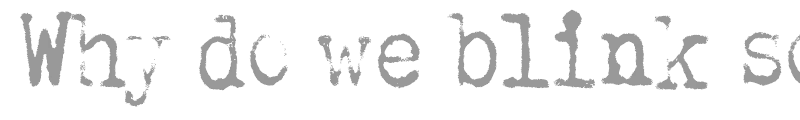 Why do we blink so frequently?