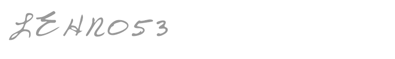 LEHN053