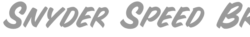 Snyder Speed Brush