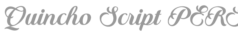 Quincho Script