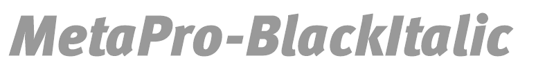 MetaPro-NormalItalic