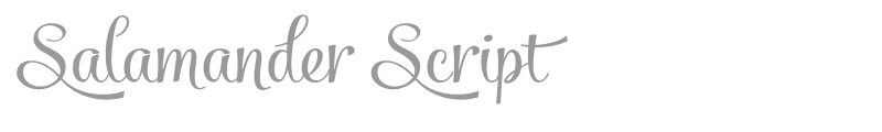 Salamander Script