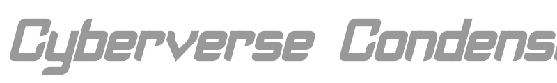 Cyberverse Condensed