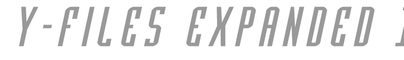 Y-Files Expanded Italic
