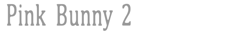 Pink Bunny 2