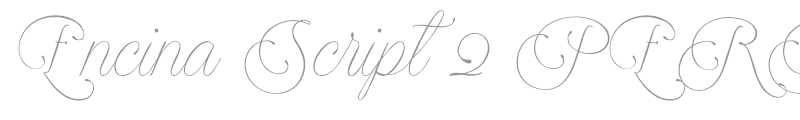 Encina Script